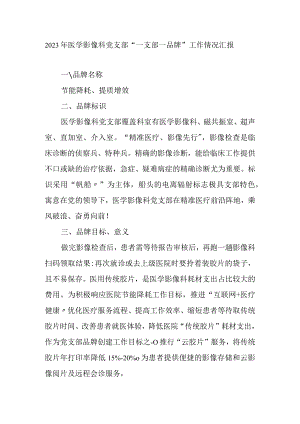 2023年医学影像科党支部“一支部一品牌”工作情况汇报.docx