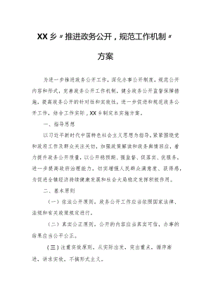 XX乡“推进政务公开规范工作机制”方案.docx