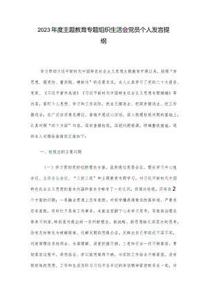 2023年度主题教育专题组织生活会党员个人发言提纲.docx