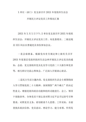 X单位（部门）党支部召开20XX年度组织生活会开展民主评议党员工作情况汇报.docx