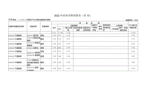 2022年政府采购预算表（表10）.docx