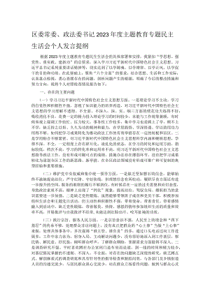 区委常委、政法委书记2023年度主题教育专题民主生活会个人发言提纲.docx