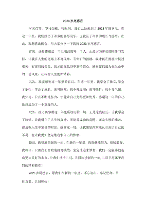 2023岁尾感言.docx
