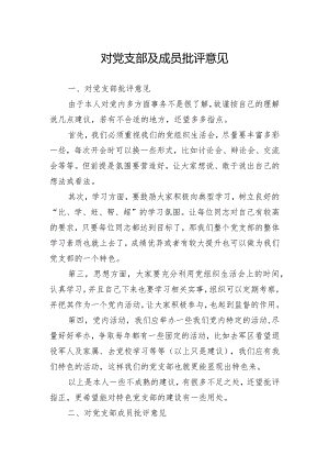 2023年党员教师对党支部及成员批评意见.docx