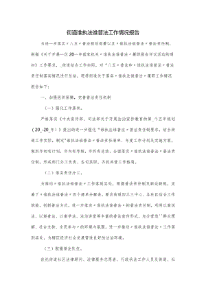 街道谁执法谁普法工作情况报告.docx