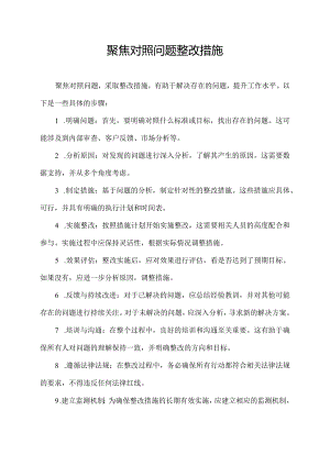 聚焦对照问题 整改措施.docx