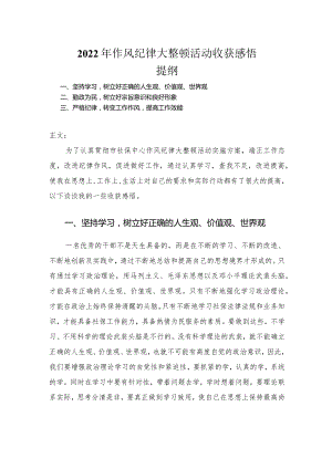 2022年作风纪律大整顿活动心得体会.docx