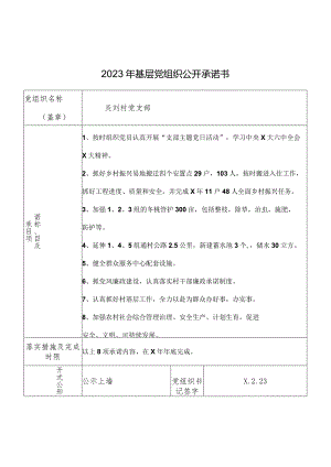 2023年基层党组织公开承诺书.docx