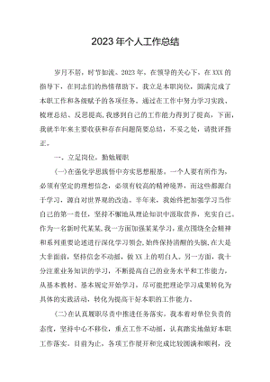 2023年个人工作总结.docx