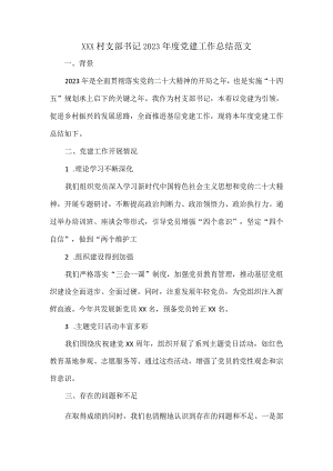 XXX村支部书记2023年度党建工作总结范文.docx