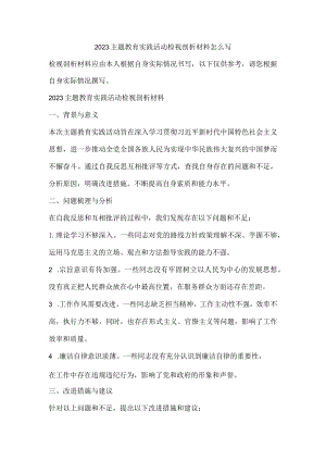 2023主题教育实践活动检视剖析材料怎么写.docx