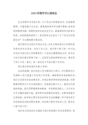 2023年青年节心得和体会.docx