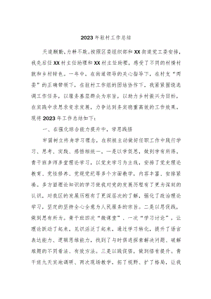 2023年驻村工作总结.docx