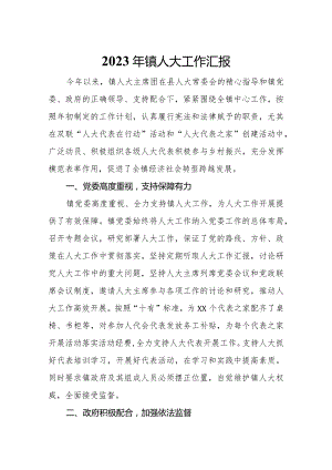 2023年镇人大工作汇报.docx