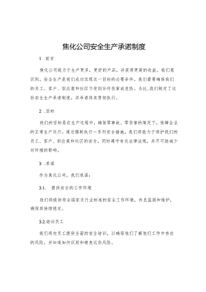 焦化公司安全生产承诺制度.docx