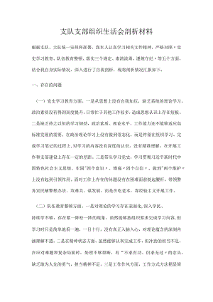 支队支部组织生活会剖析材料.docx