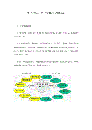 文化对标：企业文化建设的基石.docx