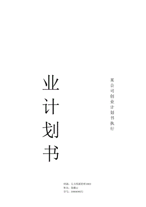 某公司创业计划书执行概要.docx
