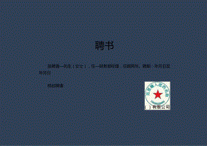 最新聘书模板1（可编辑）.docx