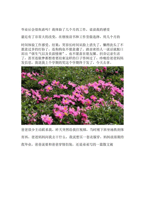 毕业后会很焦虑吗？我体验了几个月的工作说说我的感受.docx