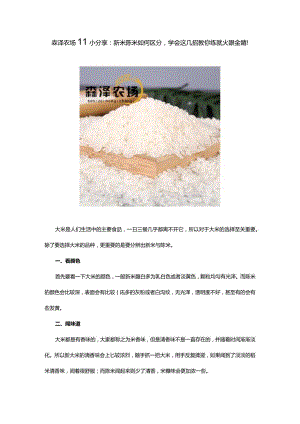 森泽农场‖小分享：新米陈米如何区分学会这几招教你练就火眼金睛！.docx