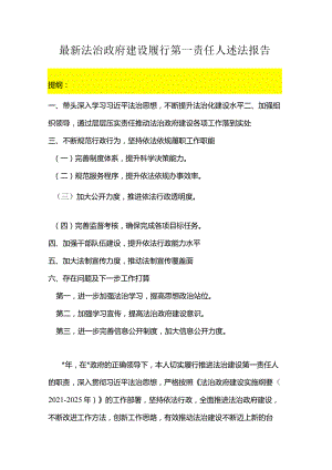 最新法治政府建设履行第一责任人述法报告.docx