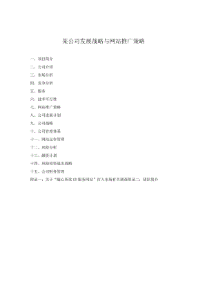 某公司发展战略与网站推广策略.docx