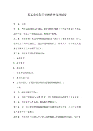 某某企业集团等级薪酬管理制度.docx