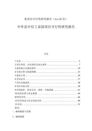 某项目可行性研究报告(doc30页).docx