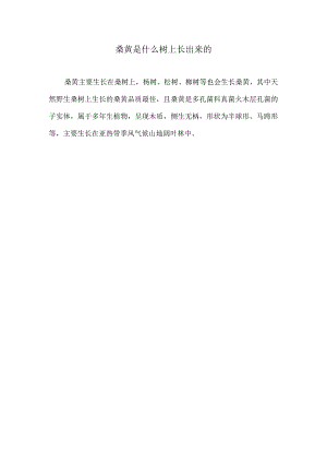 桑黄是什么树上长出来的.docx