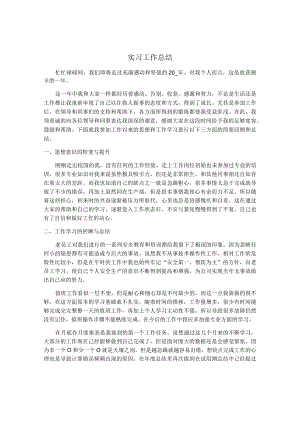 毕业生实习年度工作总结.docx