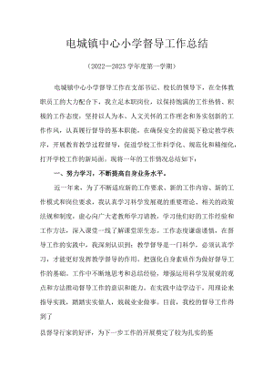 电城镇中心小学督导工作总结.docx