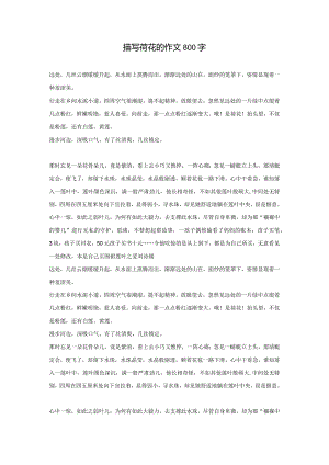 描写荷花的作文800字.docx