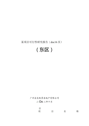 某项目可行性研究报告(doc16页).docx