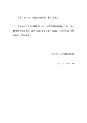武汉市建设工程规划条件核实办法2023.docx