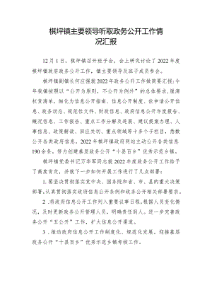 棋坪镇主要领导听取政务公开工作情况汇报.docx