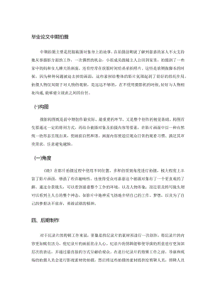 毕业论文中期拍摄.docx