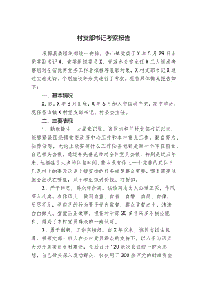 村支部书记考察报告.docx