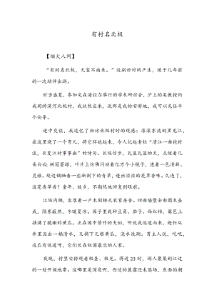 有村名北极.docx