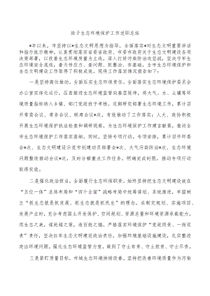 班子生态环境保护工作述职总结.docx