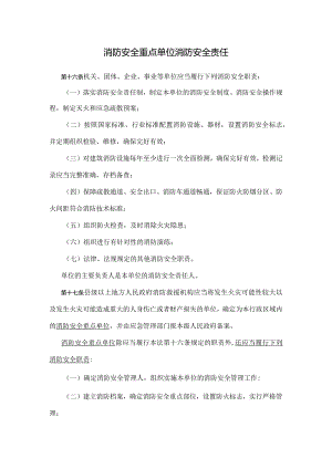 消防安全重点单位消防安全责任.docx