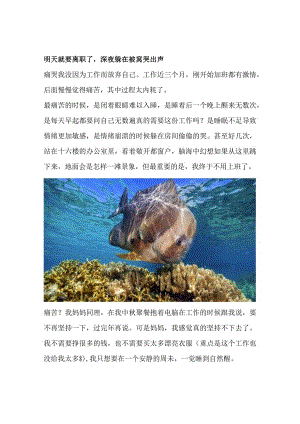 明天就要离职了深夜躲在被窝哭出声.docx