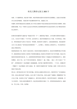桂花又飘香记叙文800字.docx