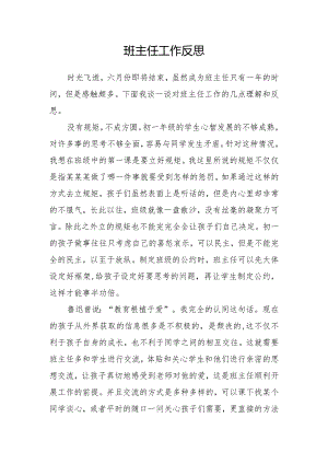 班主任工作反思.docx