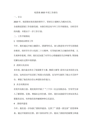 校团委2023年年度工作报告.docx