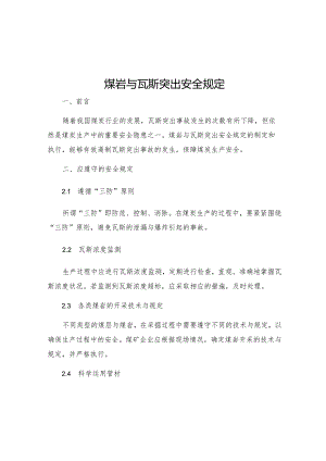 煤岩与瓦斯突出安全规定.docx