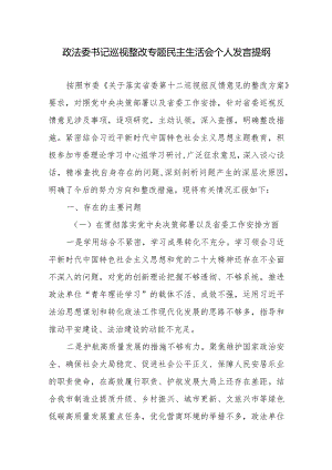 政法委书记巡视整改专题民主生活会个人发言提纲.docx