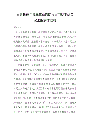 某县长在全县森林草原防灭火电视电话会议上的讲话提纲.docx