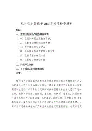机关支部班子2023-2024年新六个方面班子对照检查材料范文1.docx