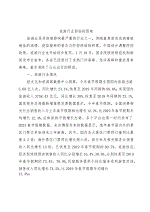 旅游行业面临的困难问题.docx